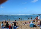 Turtle Bay